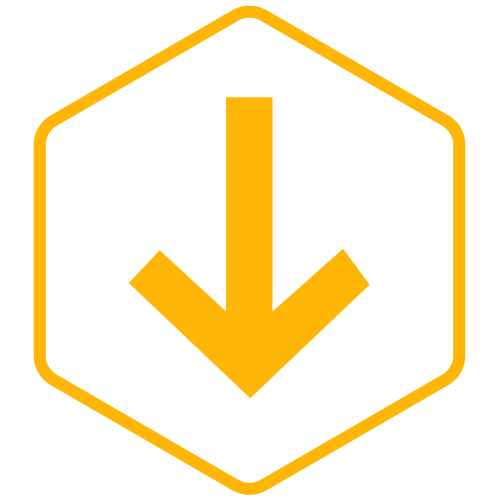 Icon (151)