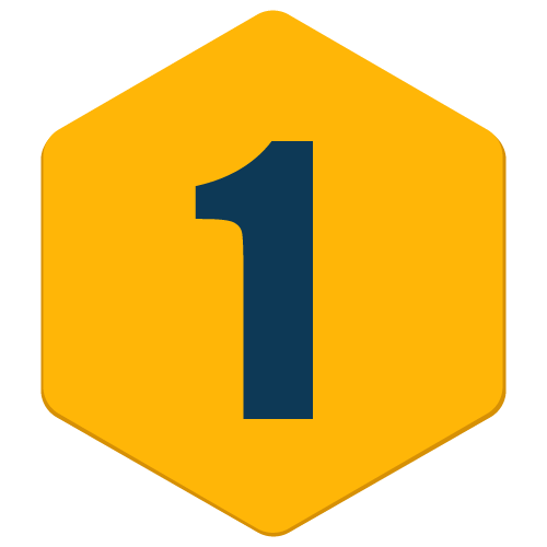 Icon (173)